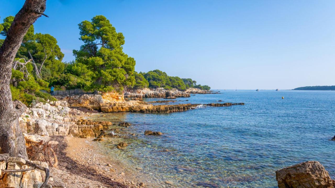 Rez-De-Villa Mougins Kültér fotó