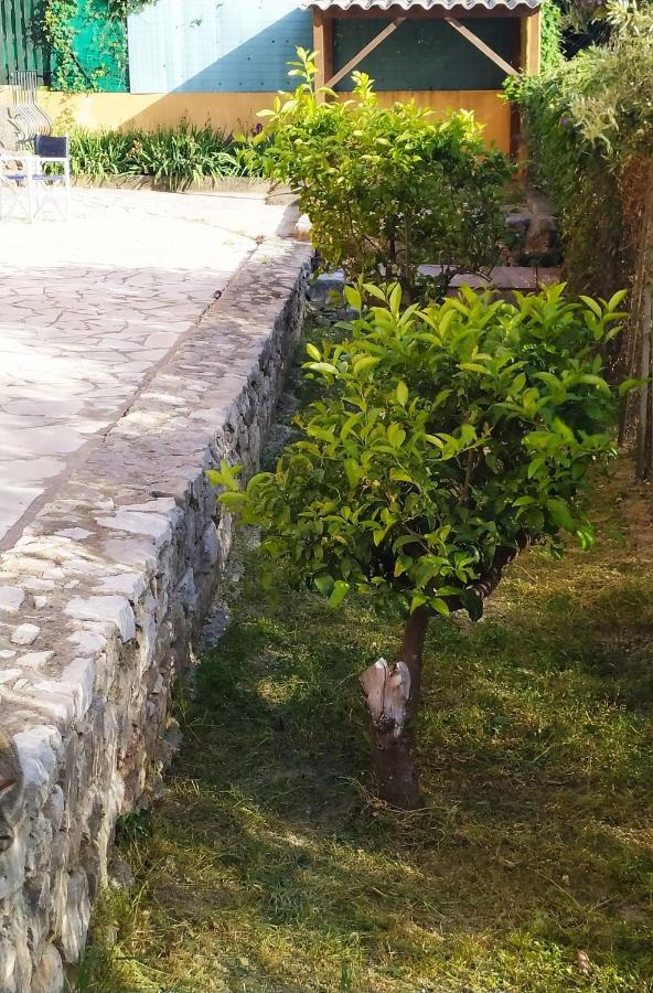 Rez-De-Villa Mougins Kültér fotó
