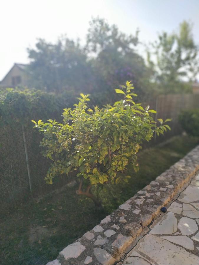 Rez-De-Villa Mougins Kültér fotó